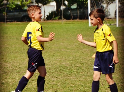 COLLABORAZIONE