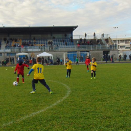 DSC00184