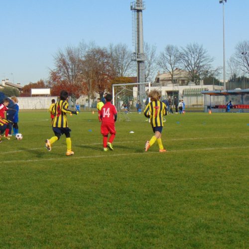 DSC00237