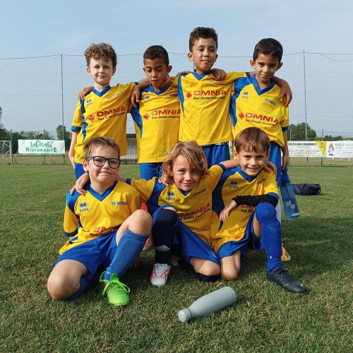 piccoli amici